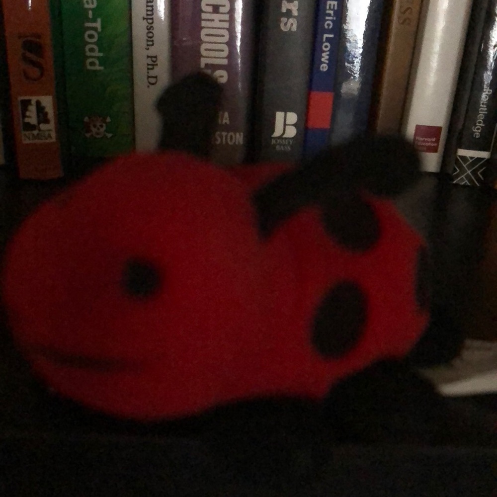 Meet your Posher, Christia